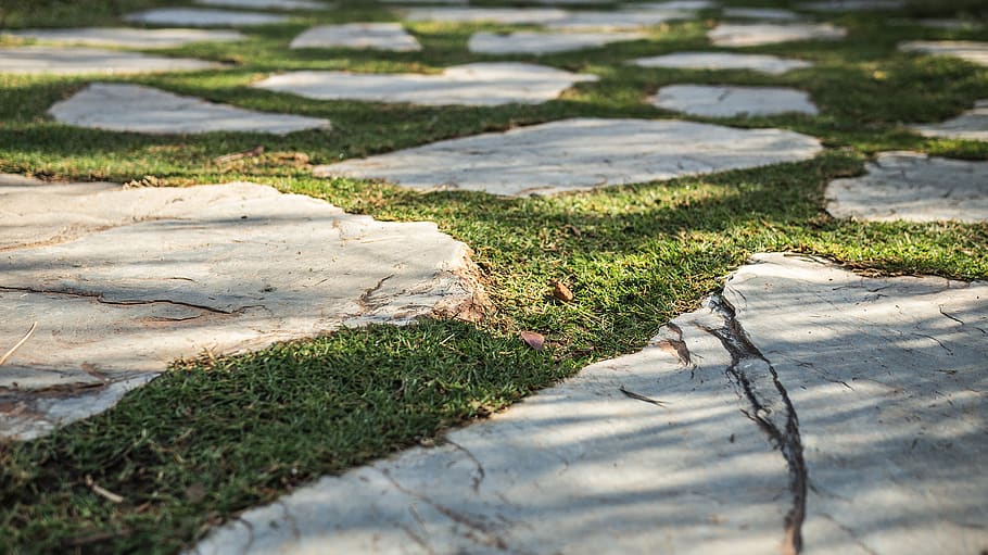 flagstone, path, walkway, slate, pavement, sidewalk, plant HD wallpaper