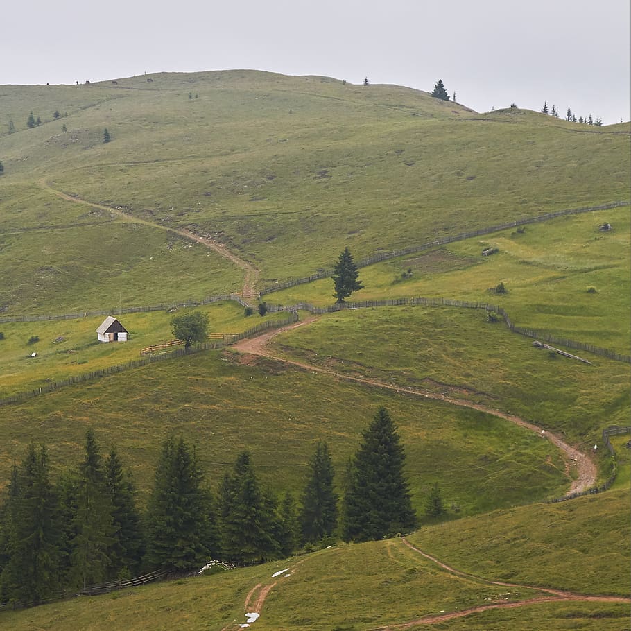 landscape, romania, scenics - nature, plant, environment, hill HD wallpaper