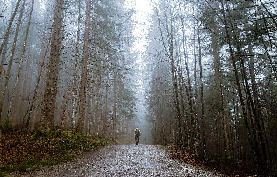 people, man, alone, walking, travel, adventure, climbing, trek HD wallpaper