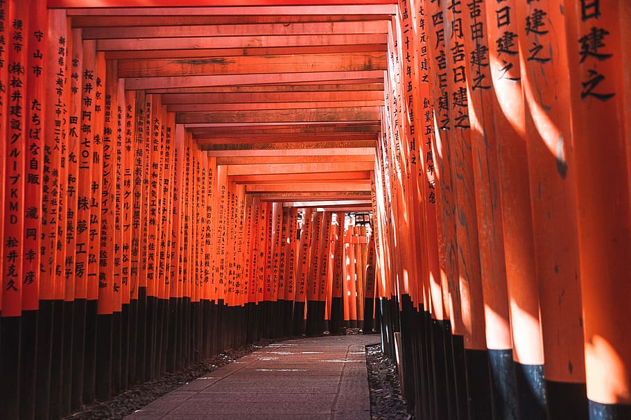 orange and black wooden hall, kyoto, japan, gate, torii, building, HD wallpaper
