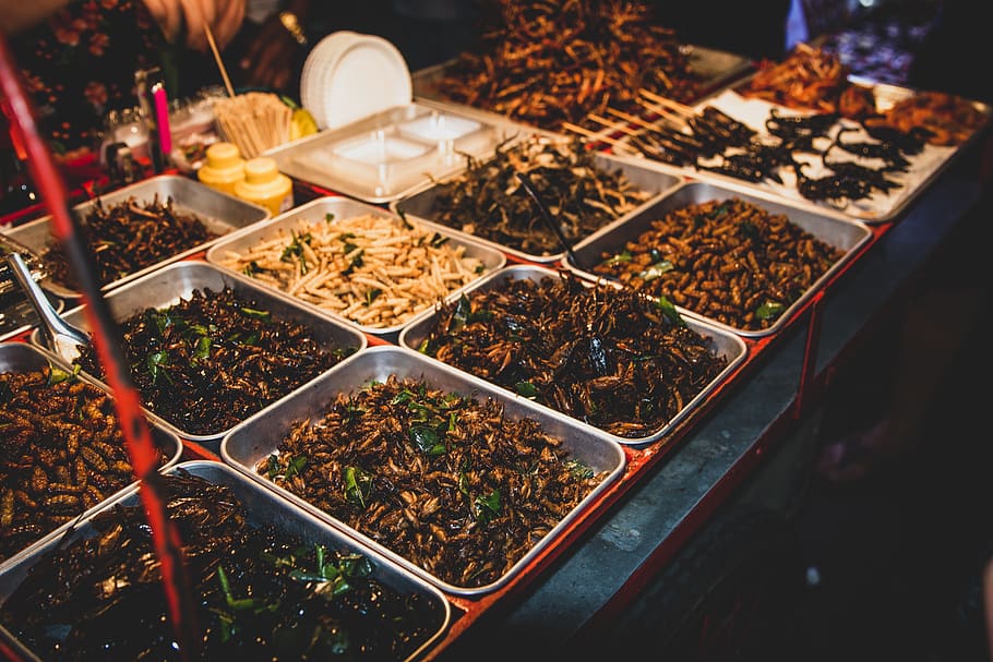 A Collection Of Restaurant Images Featuring Food Served Buffet Style On  Trays Photo Background And Picture For Free Download - Pngtree