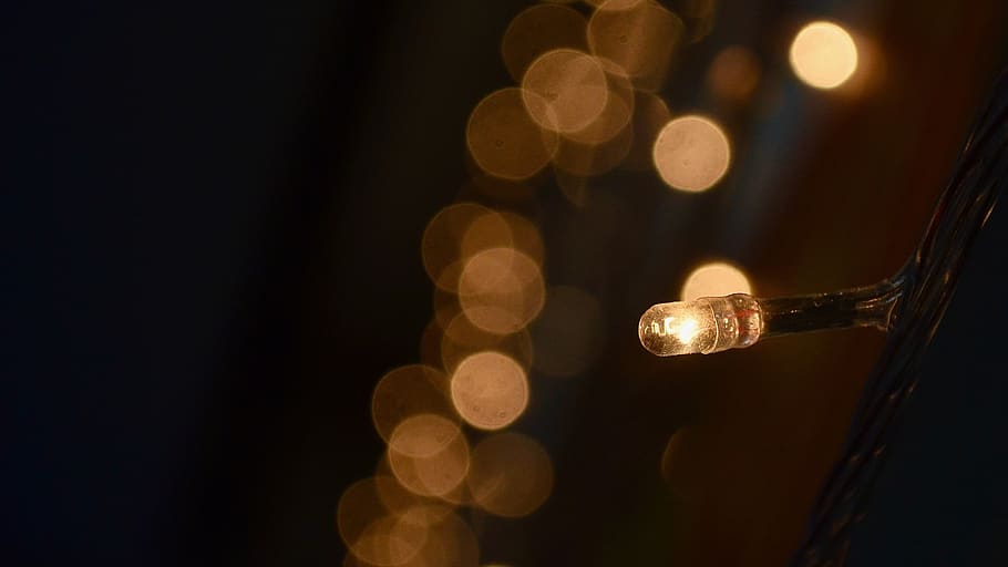 light, night, lighting, bulb, single light, focus, yellow, glow HD wallpaper