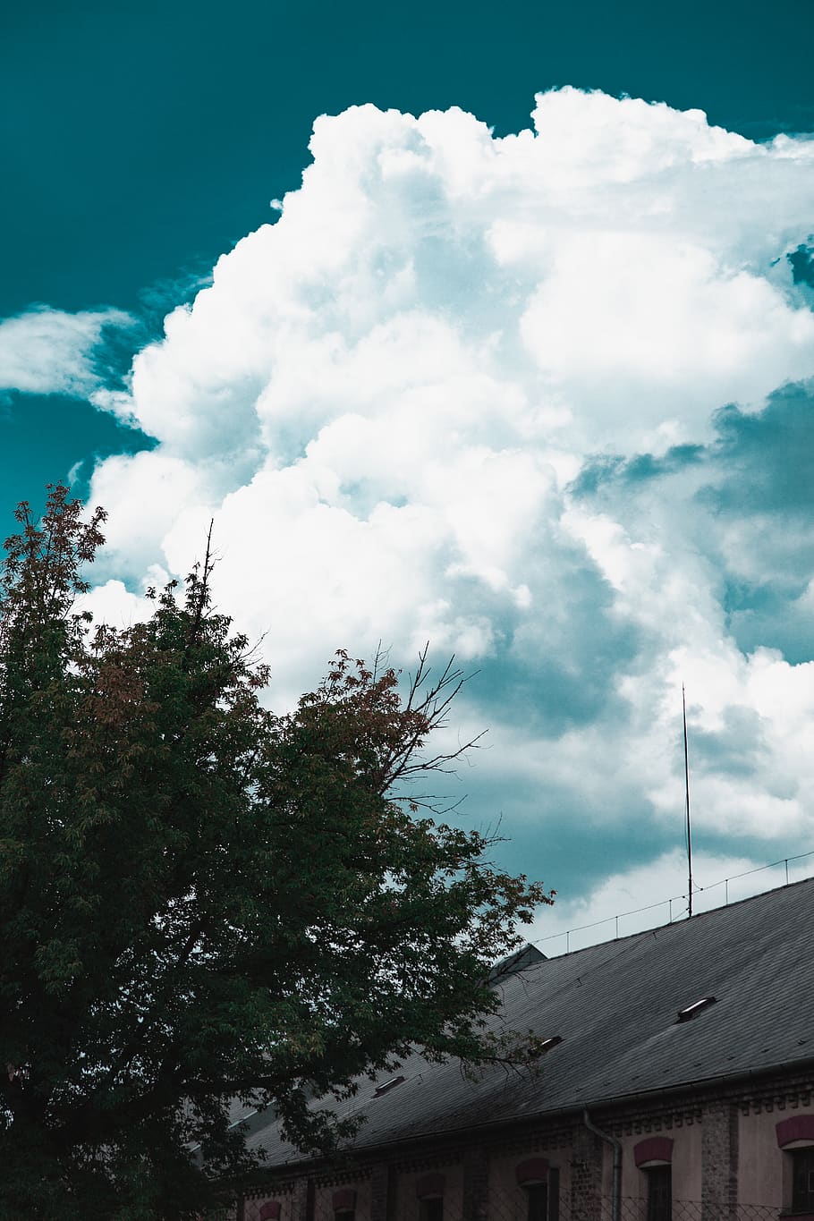 hungary, budapest, sky, tree, color, colorful, dark, cloud HD wallpaper