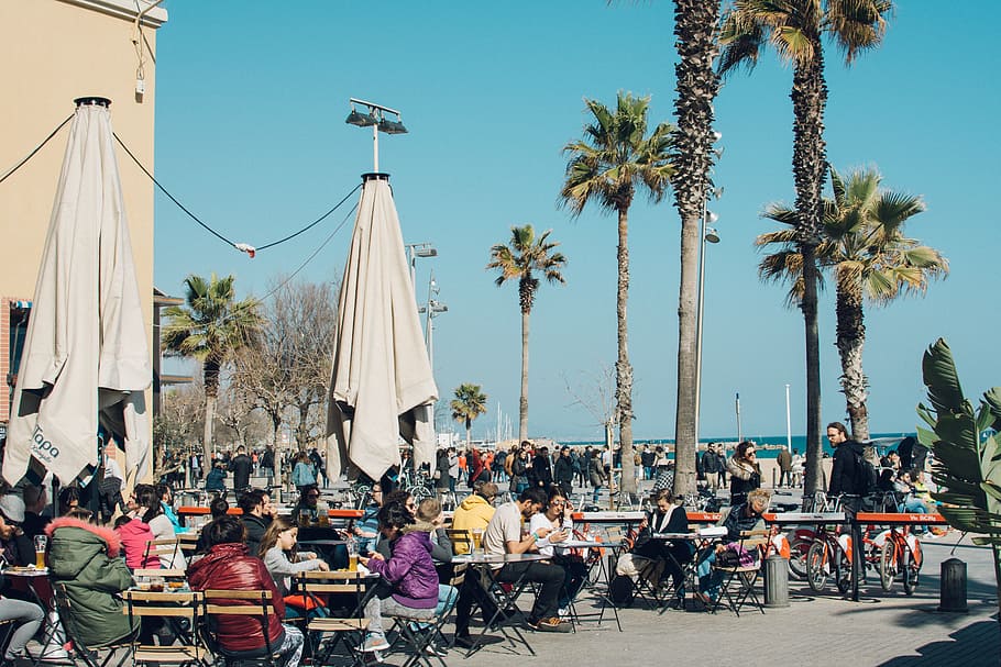 Group of People Eating Outdoors, beach, blue sky, chairs, crowd HD wallpaper