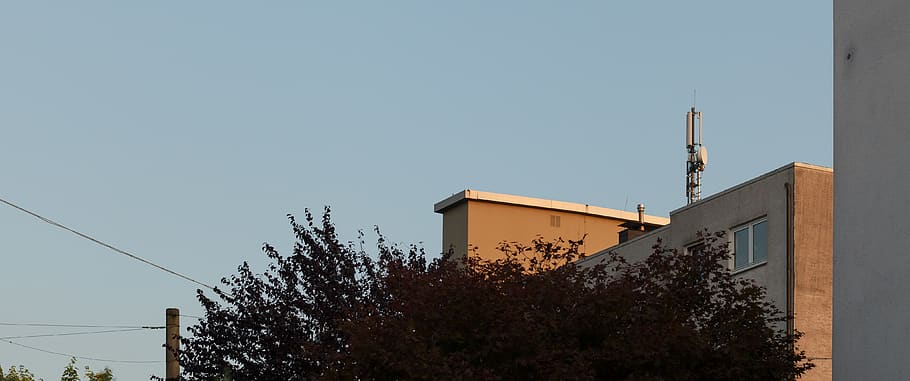 germany, detail, tree, dusk, orange, yellow, roof, tele, building HD wallpaper