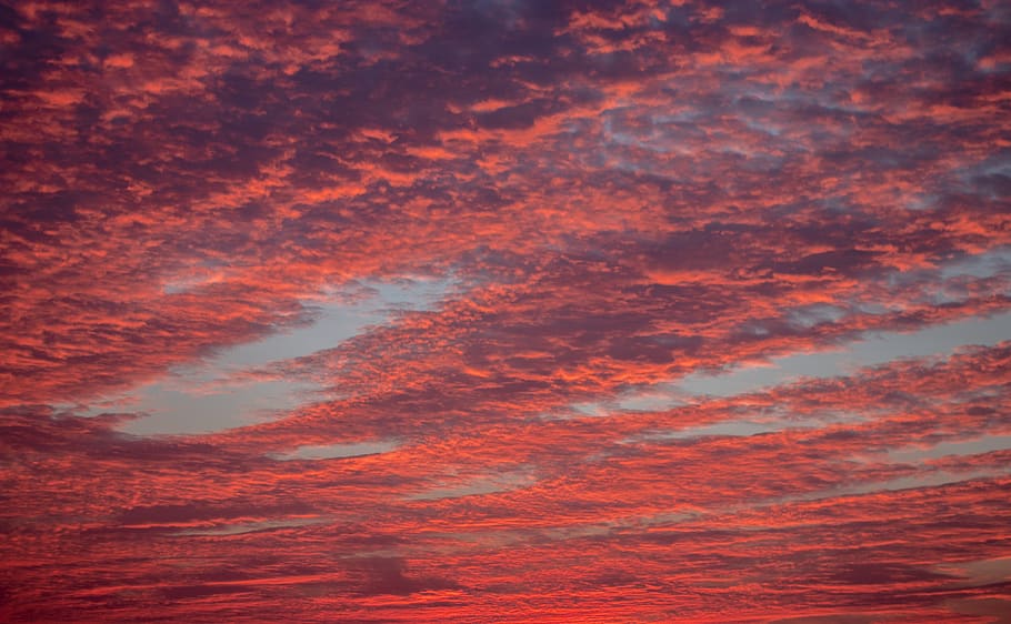 nature, outdoors, sky, sunset, dusk, dawn, red sky, cloud, sunrise HD wallpaper