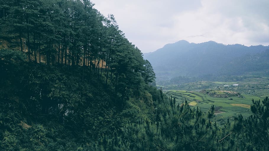 philippines, sagada, nature, trees, travel, rice terraces, hills HD wallpaper