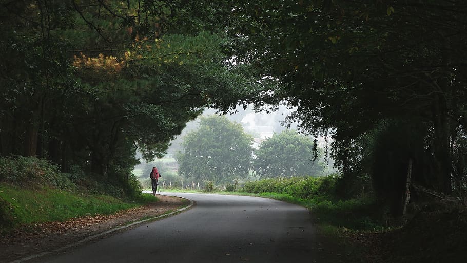 person walking towards trees, tarmac, asphalt, road, human, spain HD wallpaper