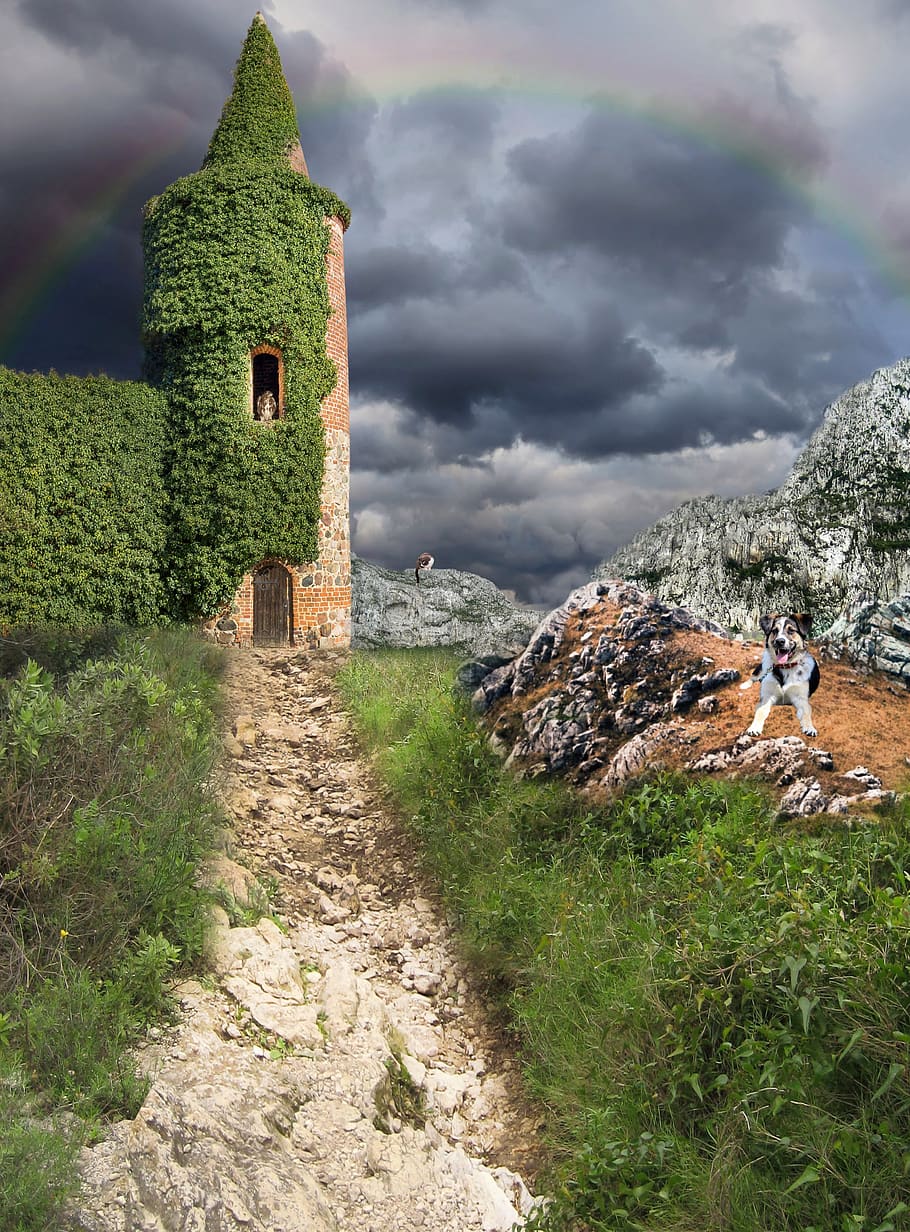 tower, away, dog, cat, mountains, sky, fantasy, nature, landscape HD wallpaper