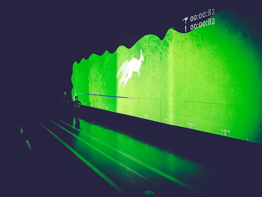 germany, pirmasens, kangaroo, simulator, museum, kids, green HD wallpaper