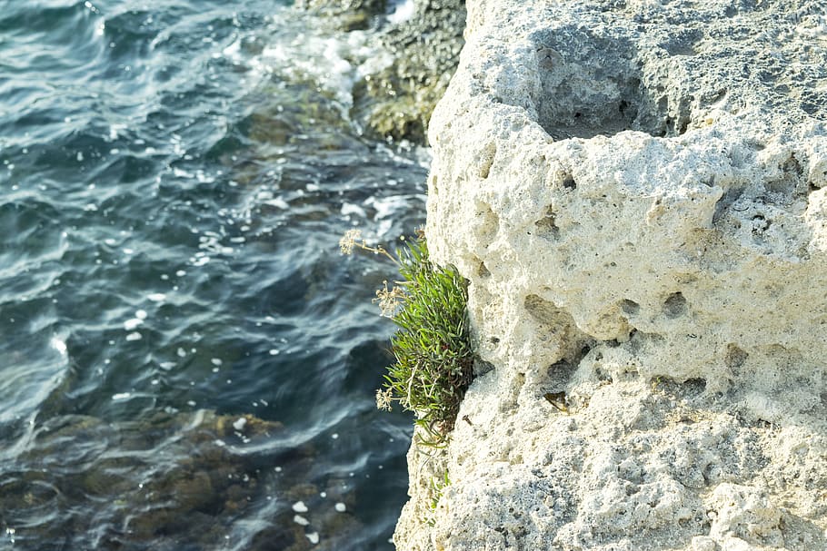 italy, monopoli, rock, rock - object, solid, no people, water HD wallpaper