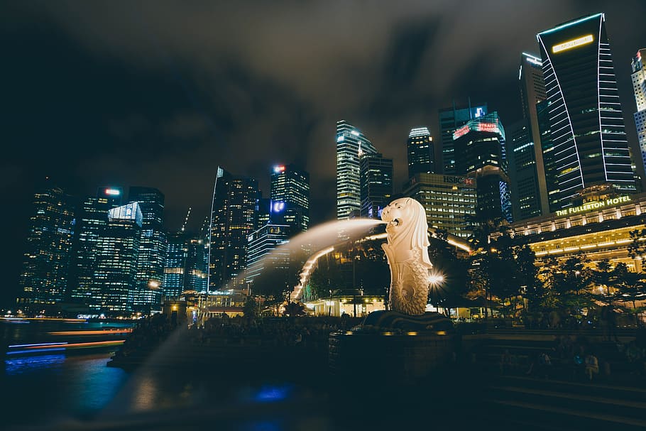 Merlion, Singapore, metropolitan, night, illuminated, skyscraper, HD wallpaper