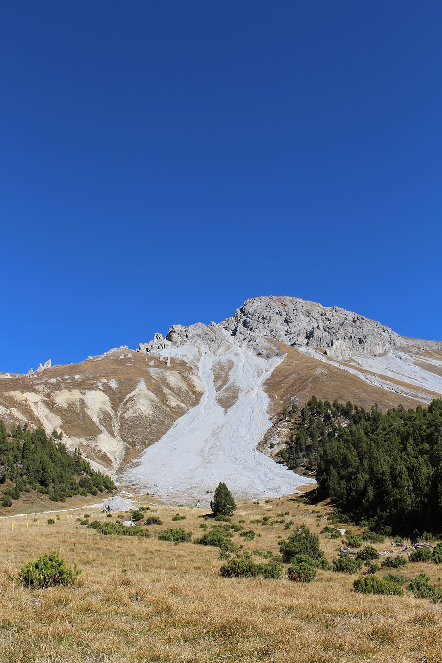 mountains, switzerland, path, blue, sky, nature, landscape HD wallpaper