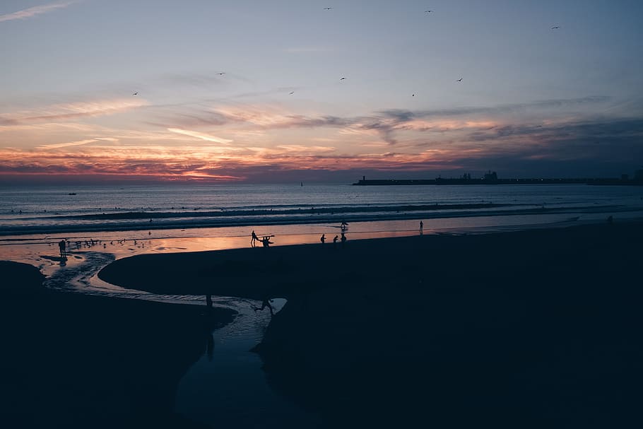 Silhouette Photo of Sea during Golden Hour, beach, beach life HD wallpaper