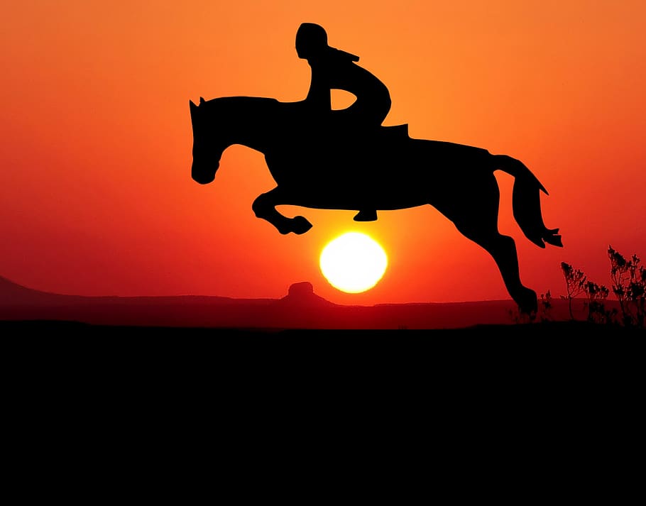 sunset, horse, jumper, nature, sky, landscape, silhouette, equine, HD wallpaper