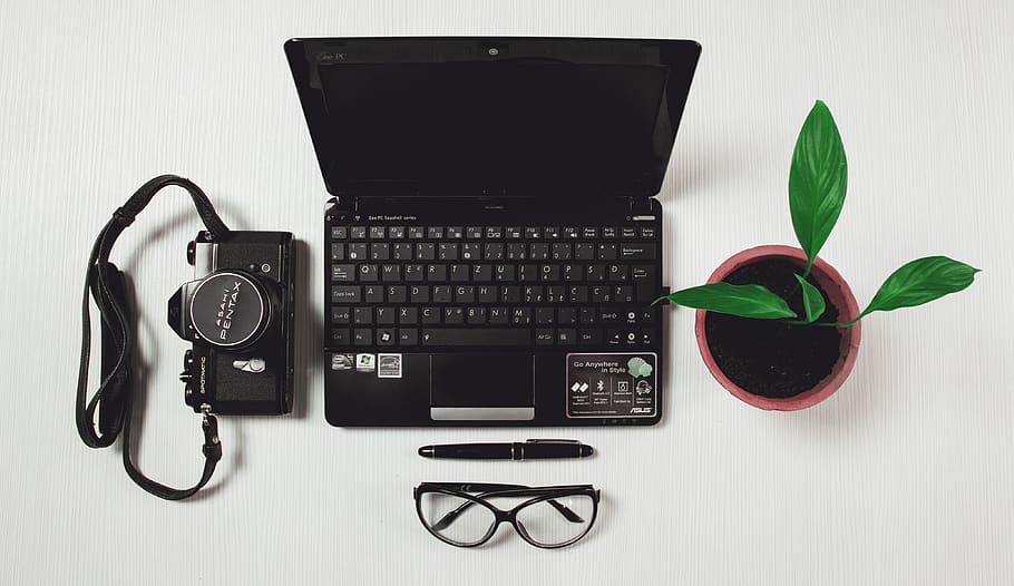 Black Laptop Black Camera and Plant Near Each Other on White Tile HD wallpaper