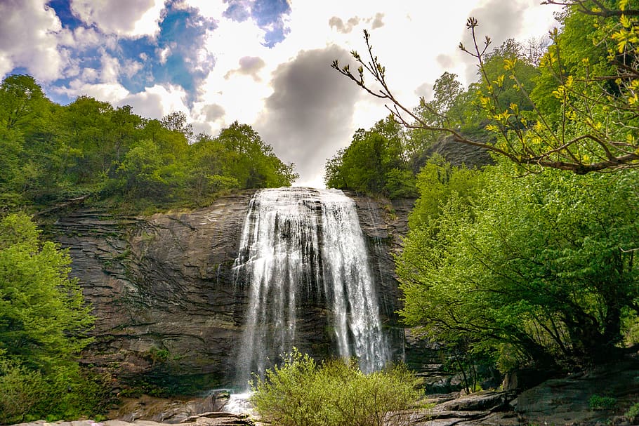 view, waterfall, nature, trees, wheather, photo, picture, plant HD wallpaper
