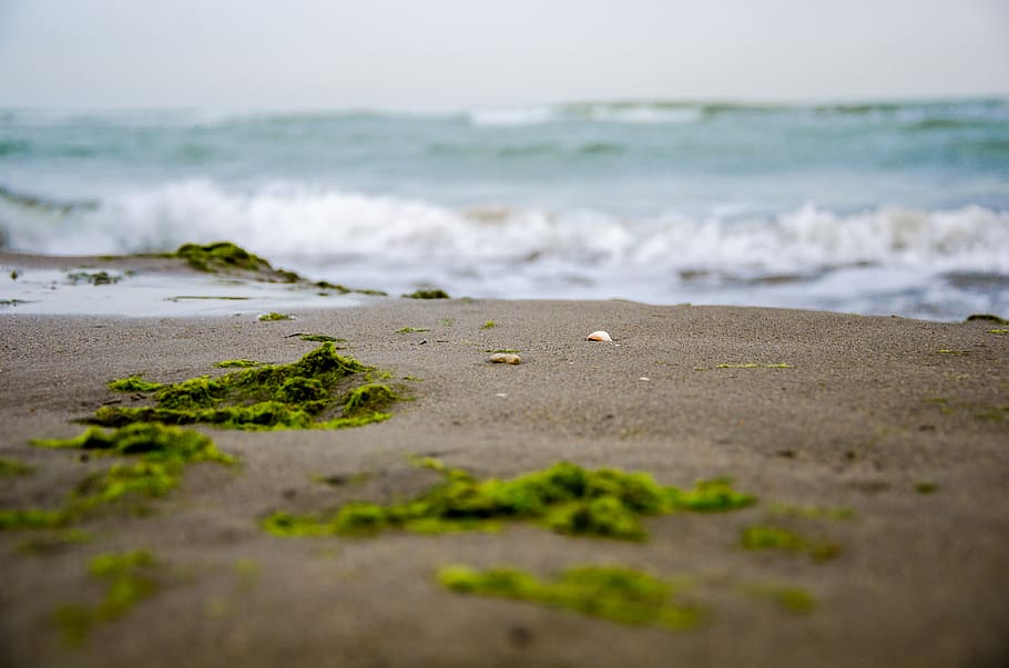 iran, nowshahr, beach, land, sea, water, sand, motion, nature HD wallpaper