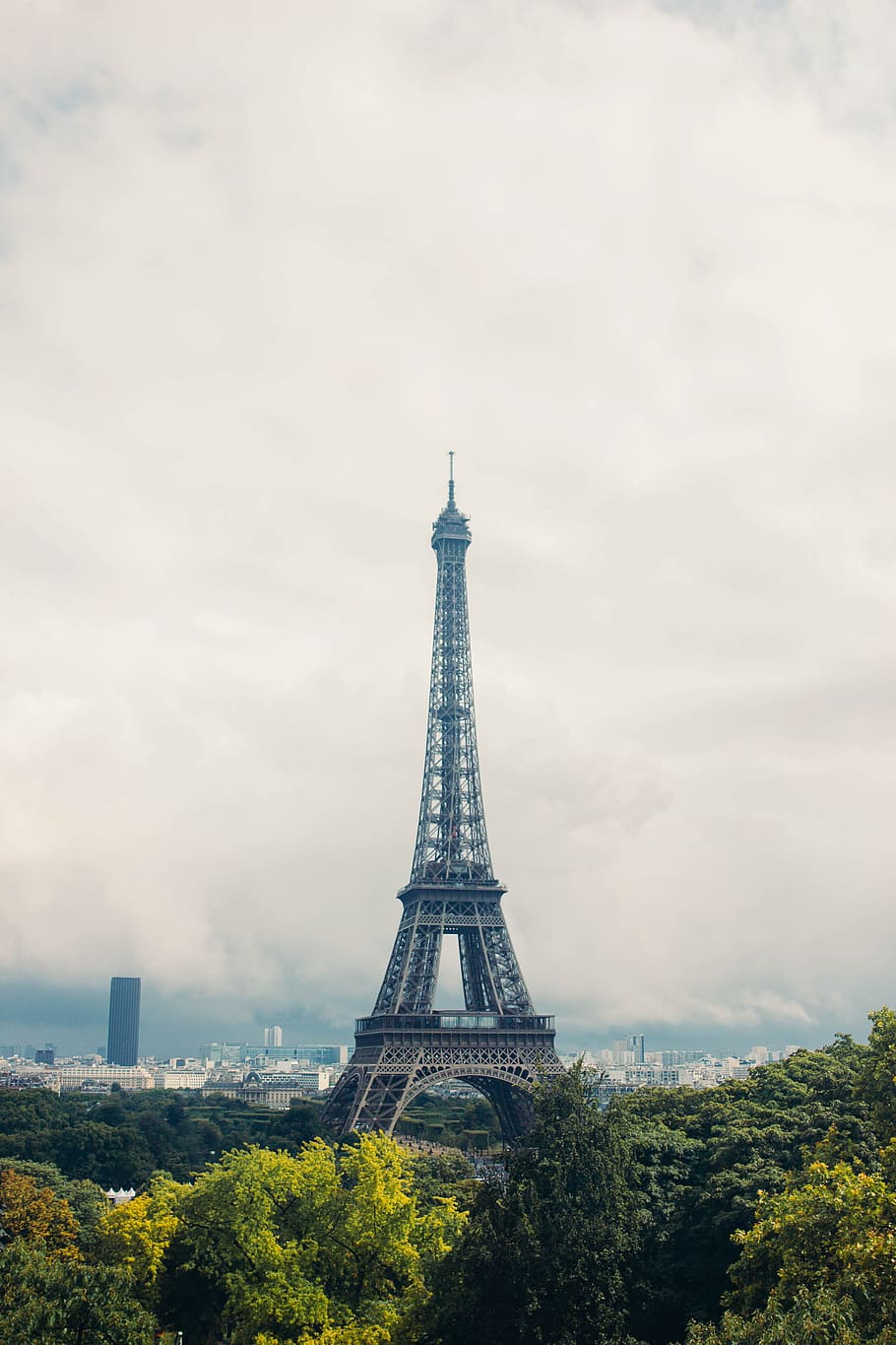 Eiffel tower surrounded by trees on a cloudy day, arc, architectural
