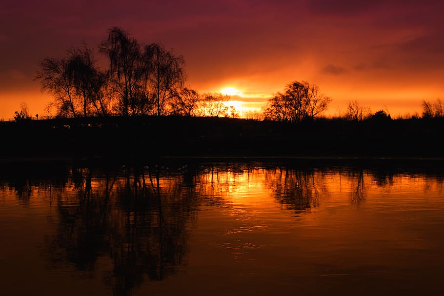Silhouette of Trees at Sunset Landscape Photography, clouds, dawn HD wallpaper