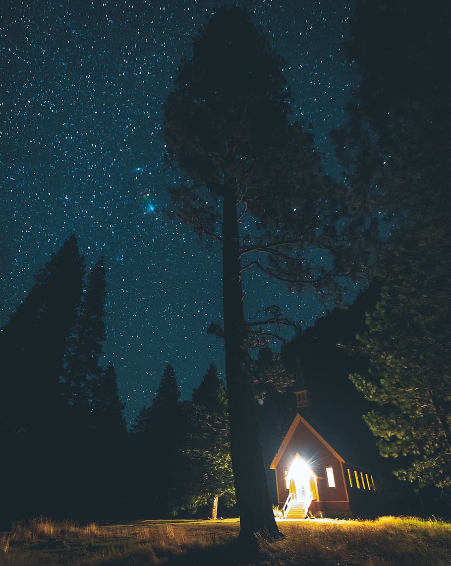brown lighted house surrounded by trees, night, plant, illuminated HD wallpaper