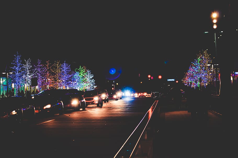 lights, trees, streets, sky, christmas, cars, illuminated, night HD wallpaper