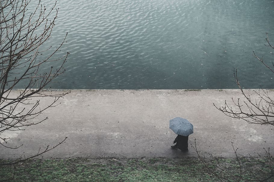 river, water, rain, umbrella, people, walking, tree, branch HD wallpaper