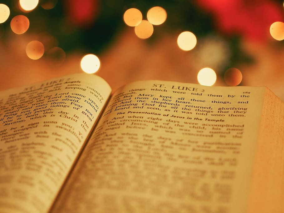 holy, book, bible, reading, religious, bokeh, blur, christmas HD wallpaper