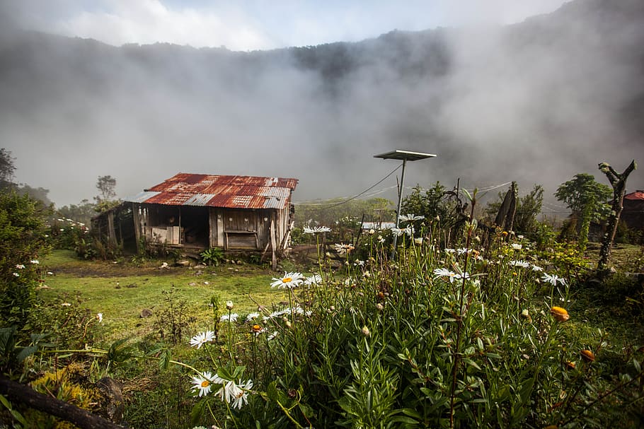 HD wallpaper: peru, salcantay, clouds, fog, flowers, spring, rural,  landscape | Wallpaper Flare