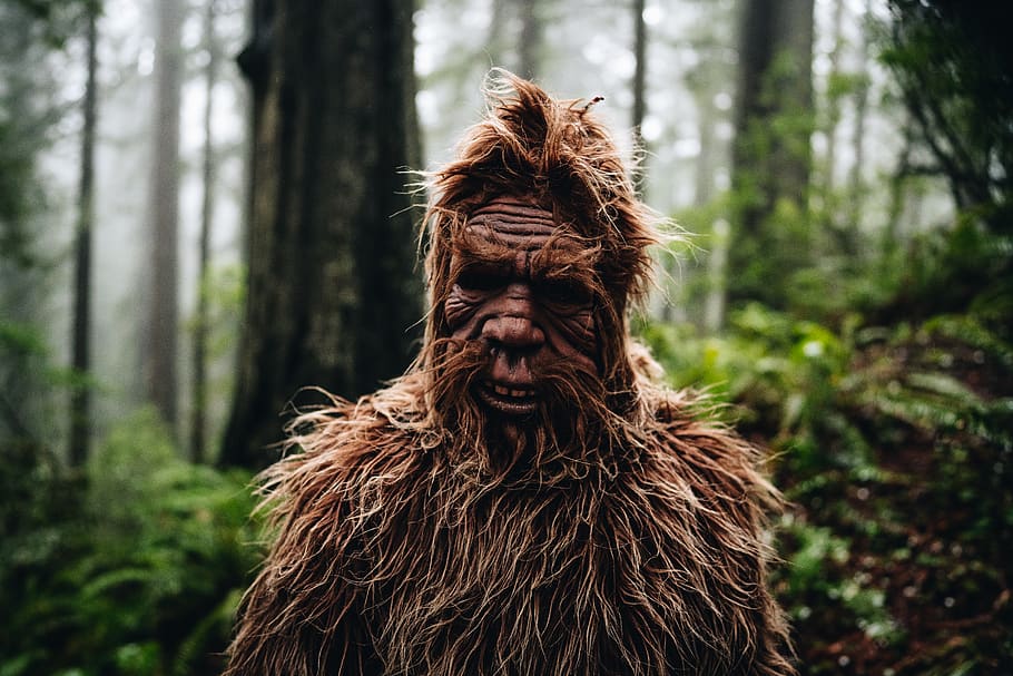 haired man costume, tree, forest, land, plant, brown, mammal HD wallpaper