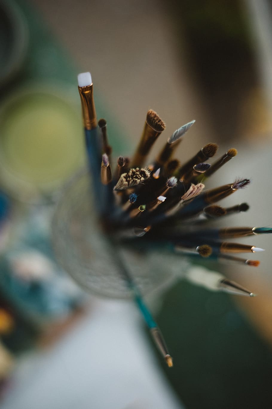 assorted-color paint brushes, plant, pollen, honey bee, invertebrate HD wallpaper