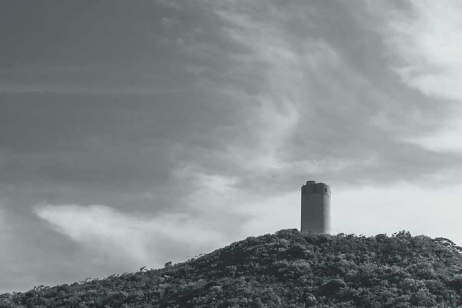 Grayscale Photography of Tower Surrounded by Trees, architecture HD wallpaper