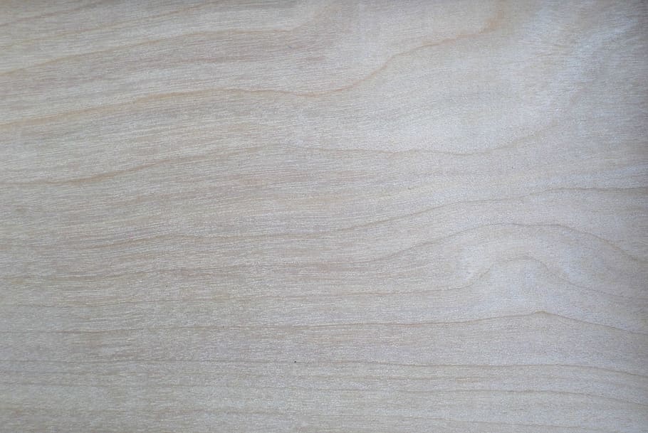 White Textile, background, pine, texture, wood, backgrounds, textured HD wallpaper