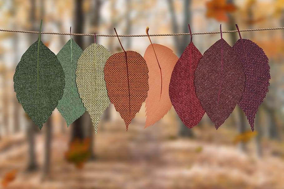 Leaves Hang-on Rope, autumn decoration, autumn mood forest, bright, HD wallpaper