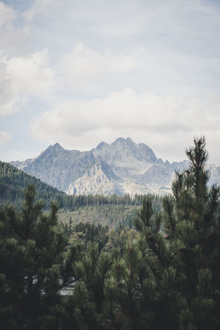 green trees, mountain, summit, peak, landscape, outdoor, woodland HD wallpaper