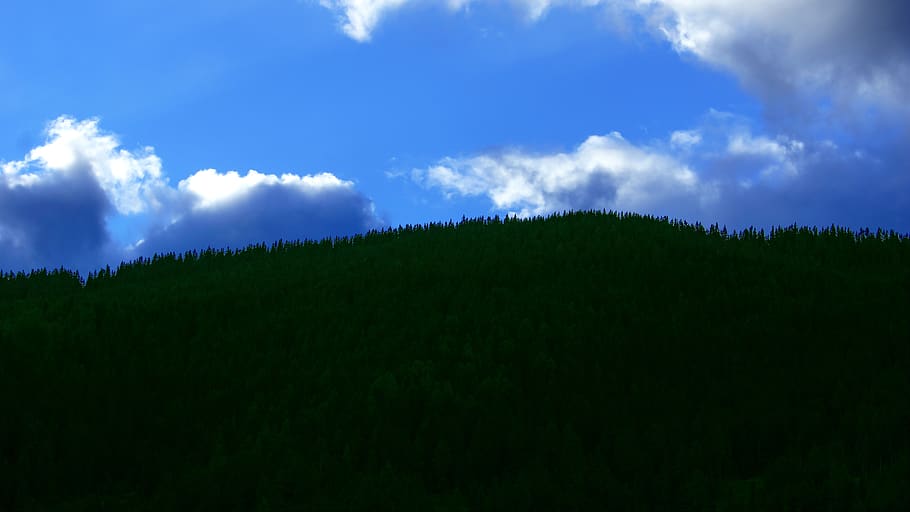 italy, san candido, sky, cloud - sky, landscape, forest, beauty in nature HD wallpaper
