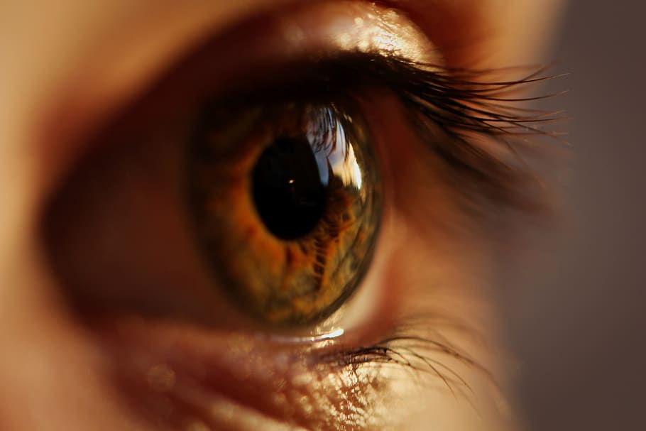 yellow and gray eyeball, eyesight, human eye, body part, eyelash HD wallpaper
