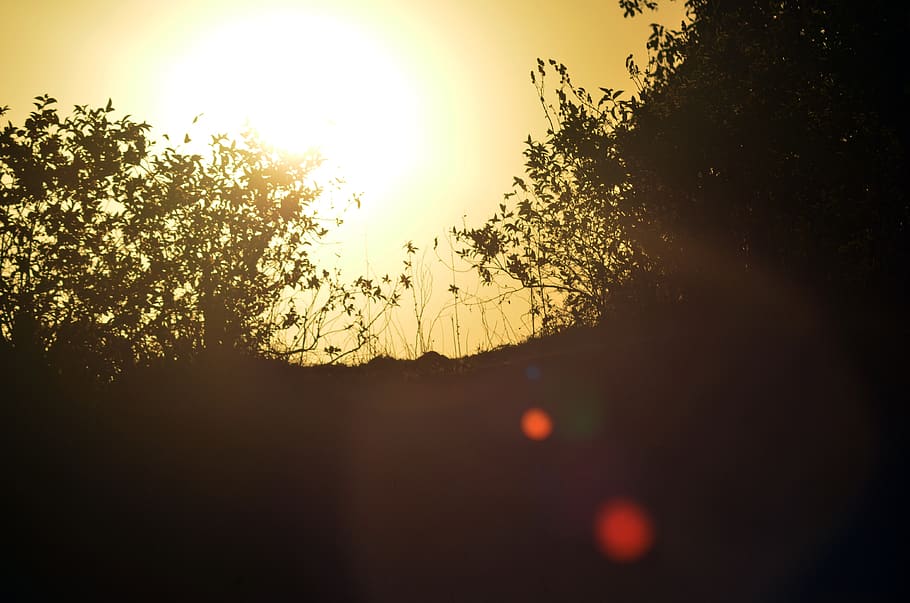 sunset, silhouette, scenic, yellow, evening, dawn, nature, landscape HD wallpaper