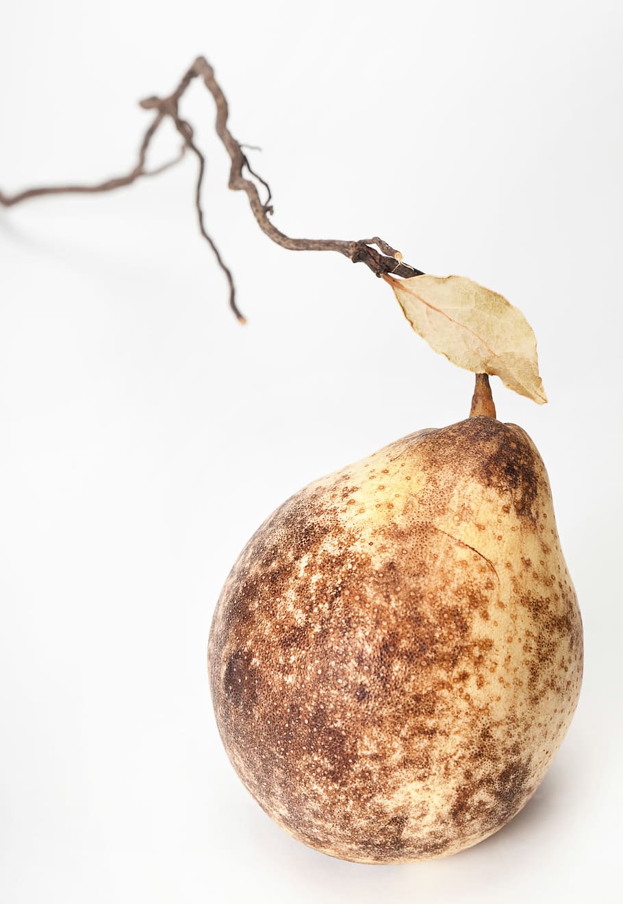 pear, pears, fruit, white, food, nobody, studio, healthy, fruity HD wallpaper