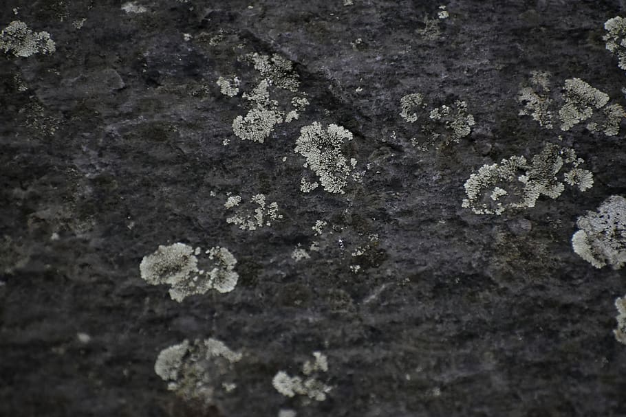 nature, rock formations, texture, textured, full frame, no people HD wallpaper