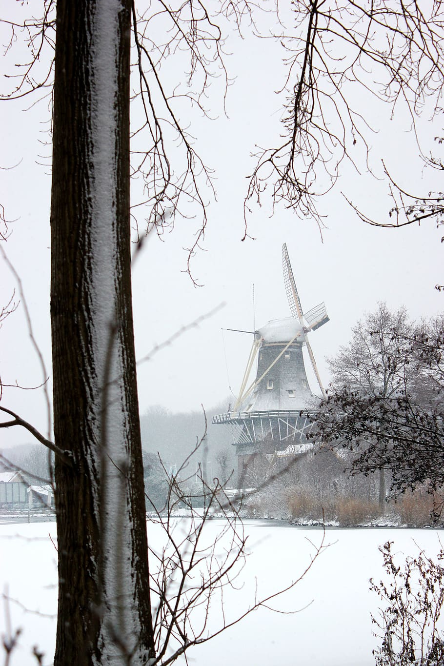 windmill and tree, nature, outdoors, snow, winter, kralingseplas HD wallpaper