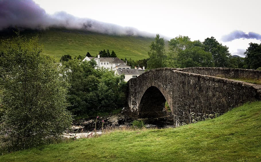 scotland, west highland way, hiking, bridge, river, plant, tree, HD wallpaper
