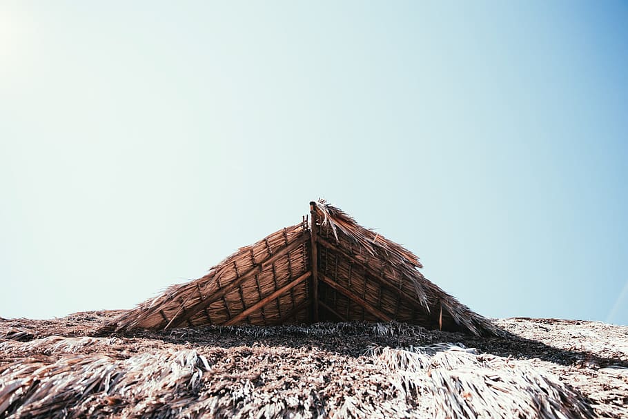 Rooftop of a straw hut in bright sunshine, Coast, Resort, Shade HD wallpaper