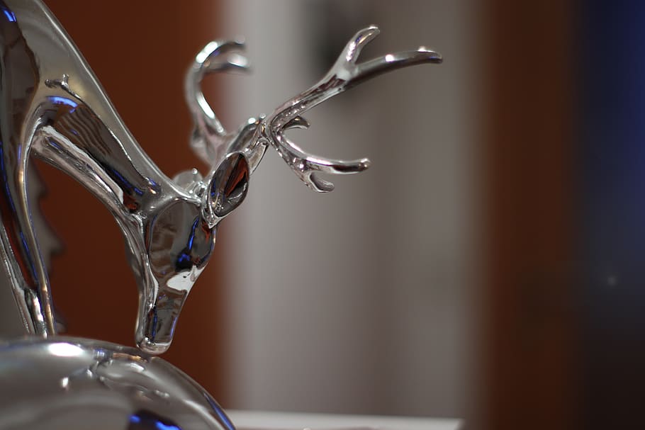 hirsch, background defocus, bokeh, shiny, blurry, christmas HD wallpaper