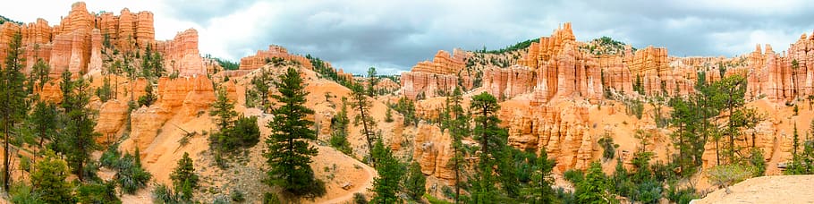 mountain, outdoors, nature, canyon, plant, tree, valley, wilderness HD wallpaper