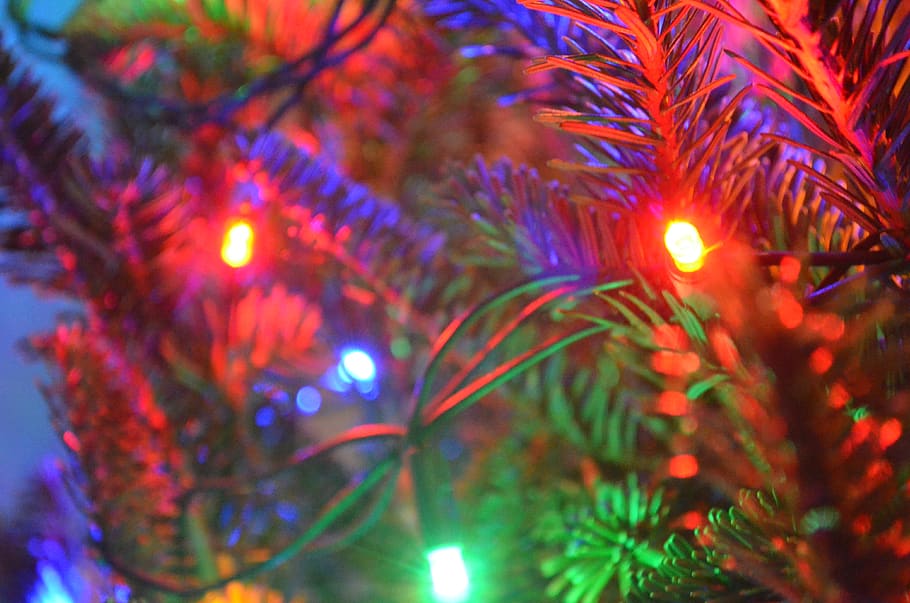 christmas, holiday, lights, tree, illuminated, celebration HD wallpaper