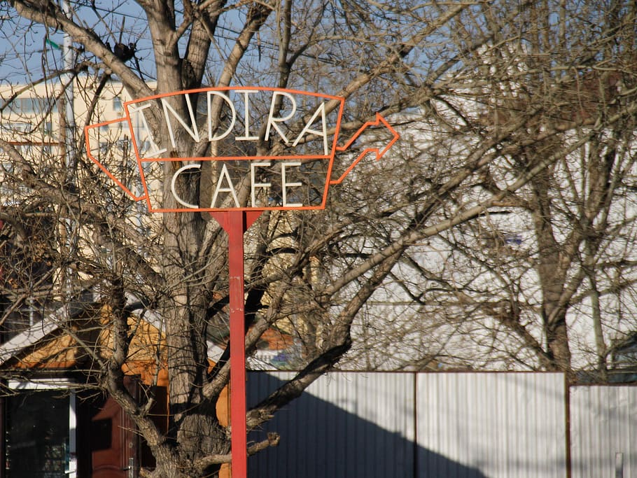 cafe, indira, space, comfortable, tree, basketball hoop, branch HD wallpaper