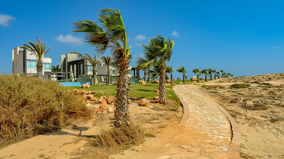 path, pedestrian, walkway, palm trees, villas, tourism, landscape HD wallpaper
