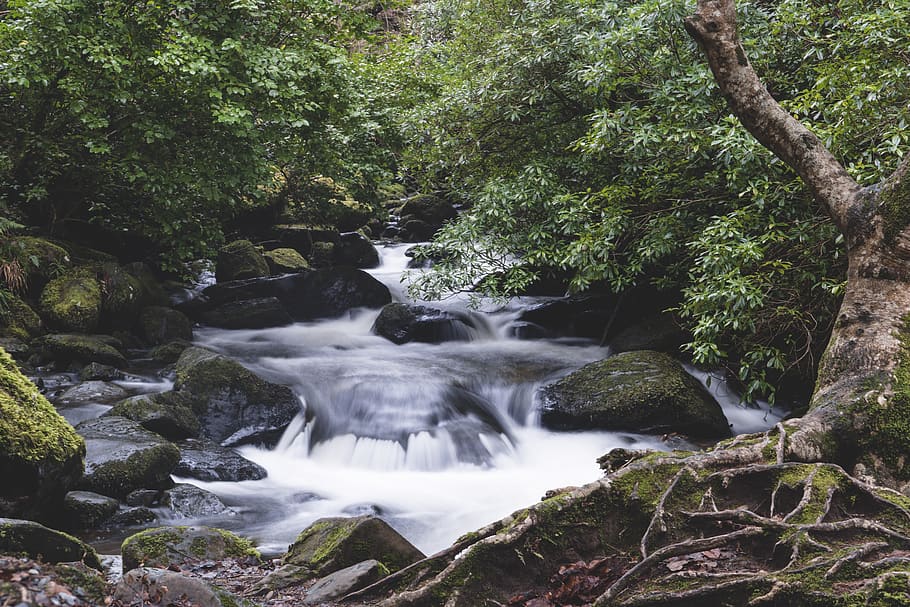 killarney, ireland, torc waterfall, forest, rocks, flow, nationalpark HD wallpaper
