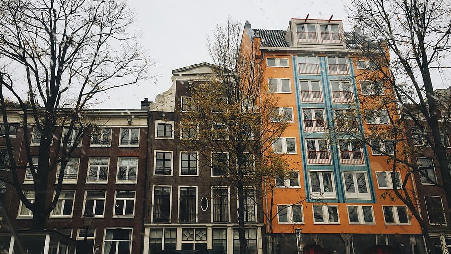 netherlands, amsterdam, architecture, building exterior, window HD wallpaper
